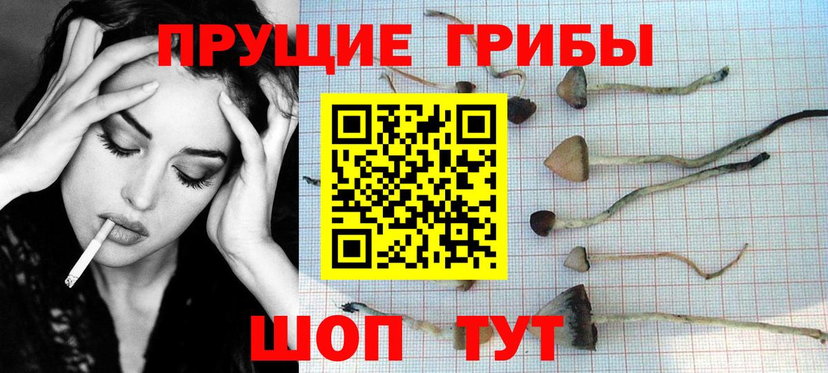 ГЕРОИН  Меф МЯУ МЯУ кристаллы  Экстази  Вход с VPN  ГАШ  Купить закладку  Мефедрон  Кстово  Кокаин  Каннабис  Гашиш  Лсд 25 