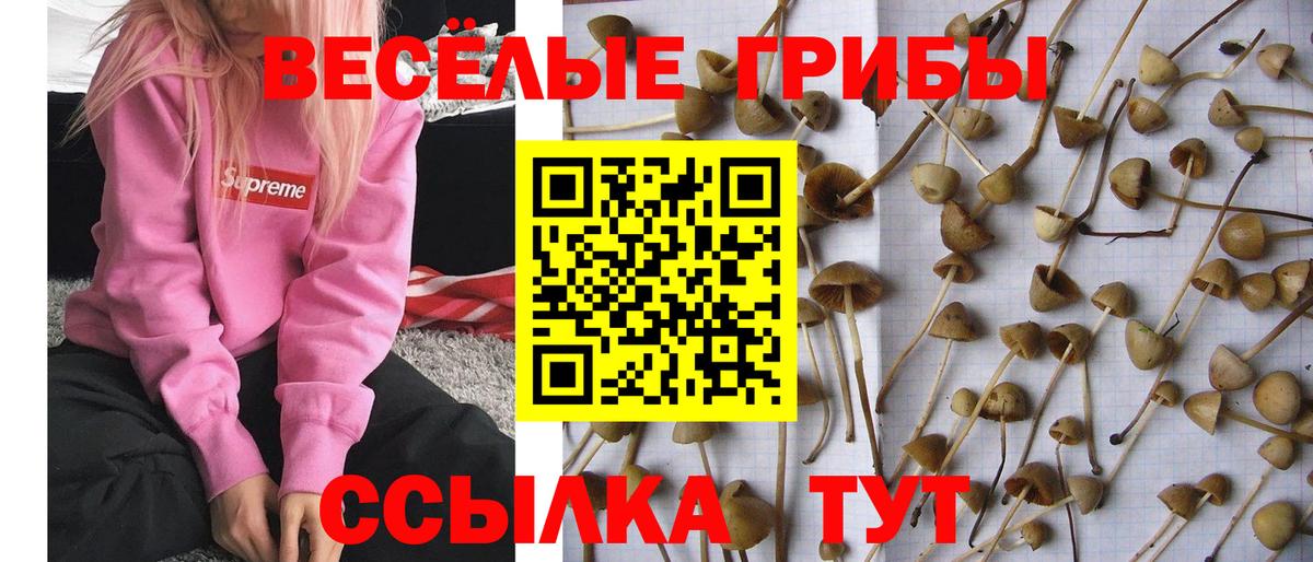 Псилоцибиновые грибы мухоморы Кстово