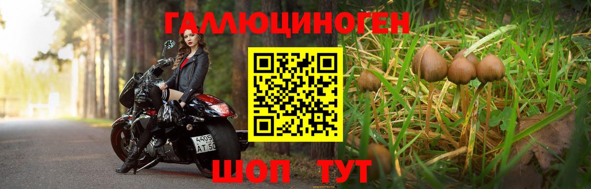 Кстово  Галлюциногенные грибы MAGIC MUSHROOMS  Псилоцибиновые грибы ЛСД  Вход с VPN 